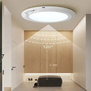 1 Pack Rechargeable Ceiling Lights Motion Sensor Ceiling Light Wireless with Remote - Magnetic Wireless Ceiling Light Battery Powered for Closet Shower Stairs Shed Hallway Porch Patio No Wiring Wireless for Bathroom Closet Kitchen Hallway