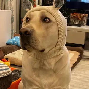 Winter Warm Hat for Medium to Large Dogs and Cats - Knitted Stretchy Silent Dog Ear Hat, Noise-Reducing Knitted Pet Hat in 5 Colors, Multiple Colors Available, One Size Fits All, Cute and Warm