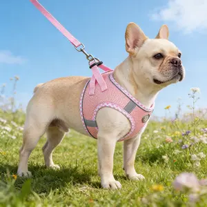 Universal Cat Dog Harness Anti-Escape Chest Back Leash, Full Coverage Comfortable No Choke, Teddy Bichon Pet Walking Helper