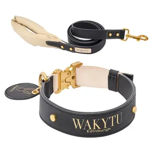Luxury Leather Dog Collar & Leash with Padded Handle
