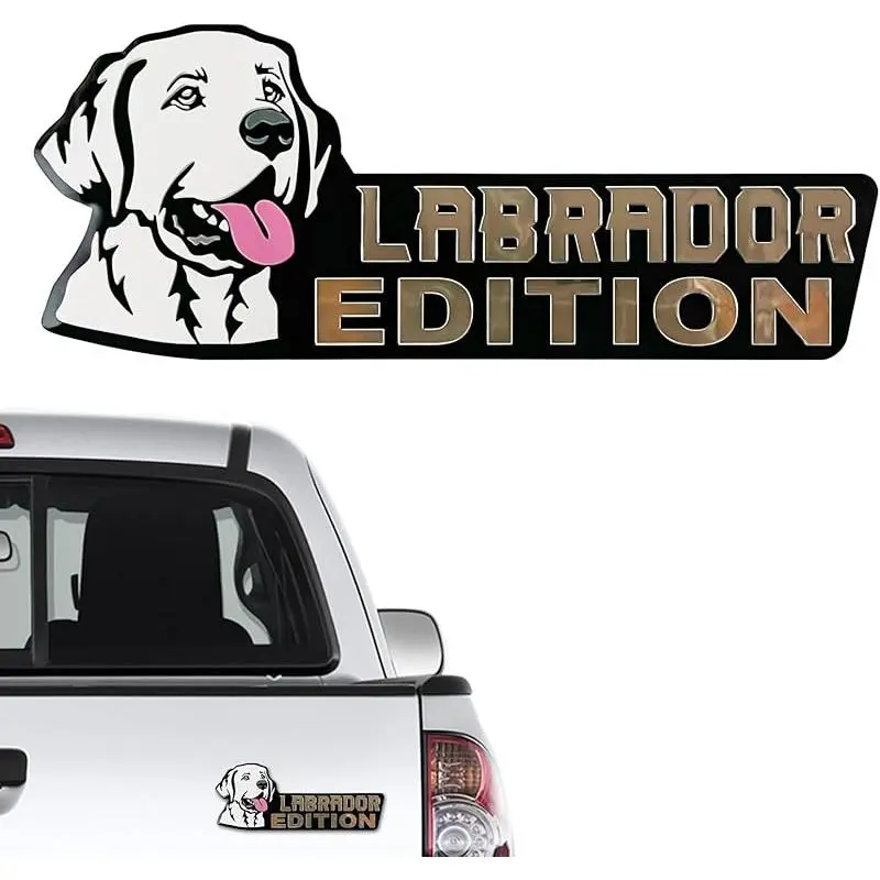 Labrador Dog