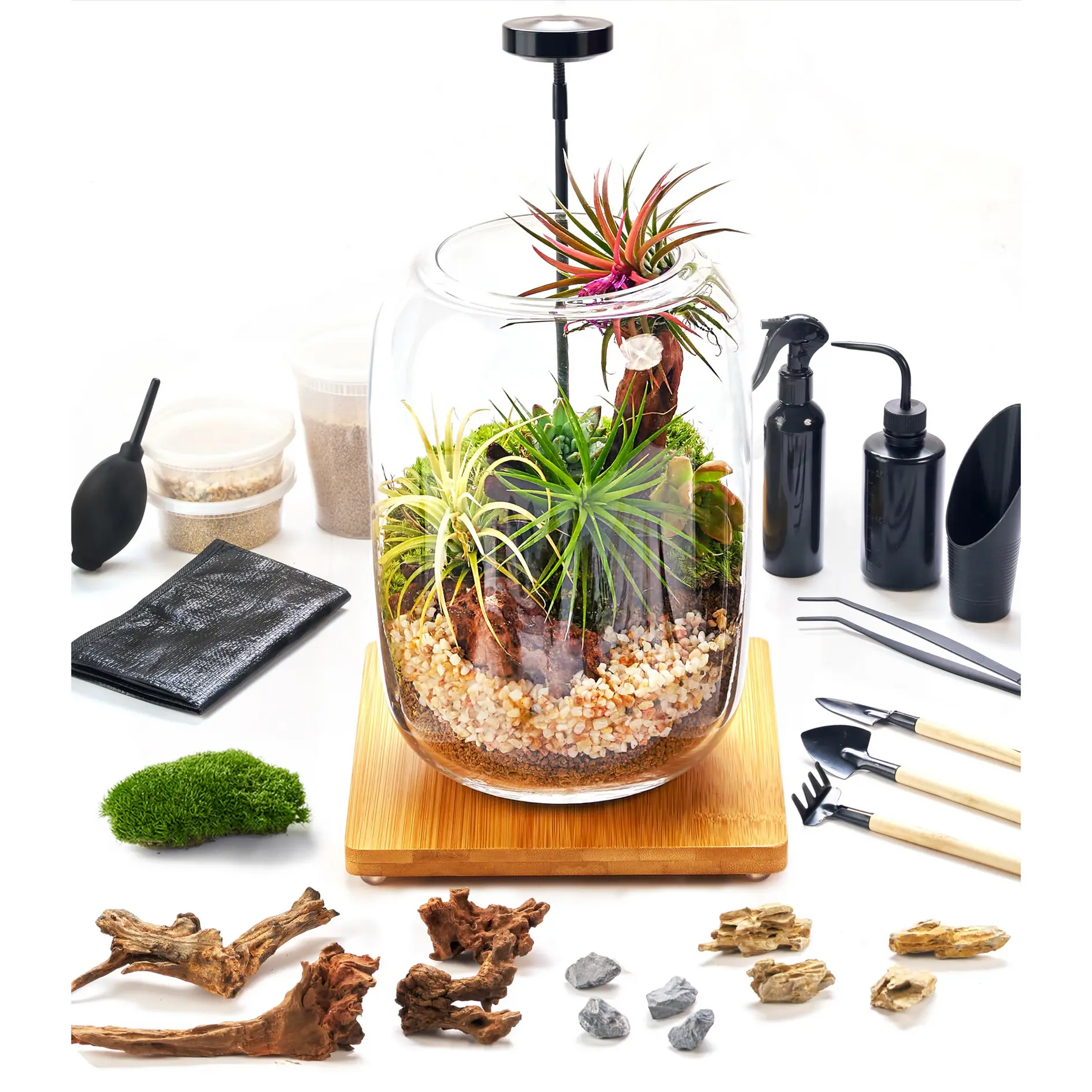 Terrarium Kit with Grow Light  24-Piece DIY Glass Terrarium Set with  Tools, Live Moss, Driftwood & Pebbles for Home Dcor - TikTok Shop