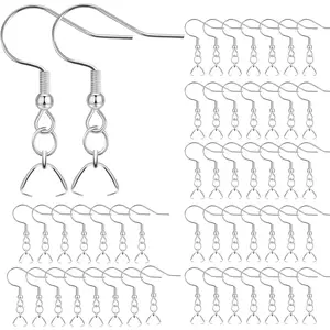 50PCS/25Pairs Stainless Steel Hypo-allergenic Earring Hooks Ear Wires Fish Hooks Jewelry Findings Parts for DIY Jewelry Making