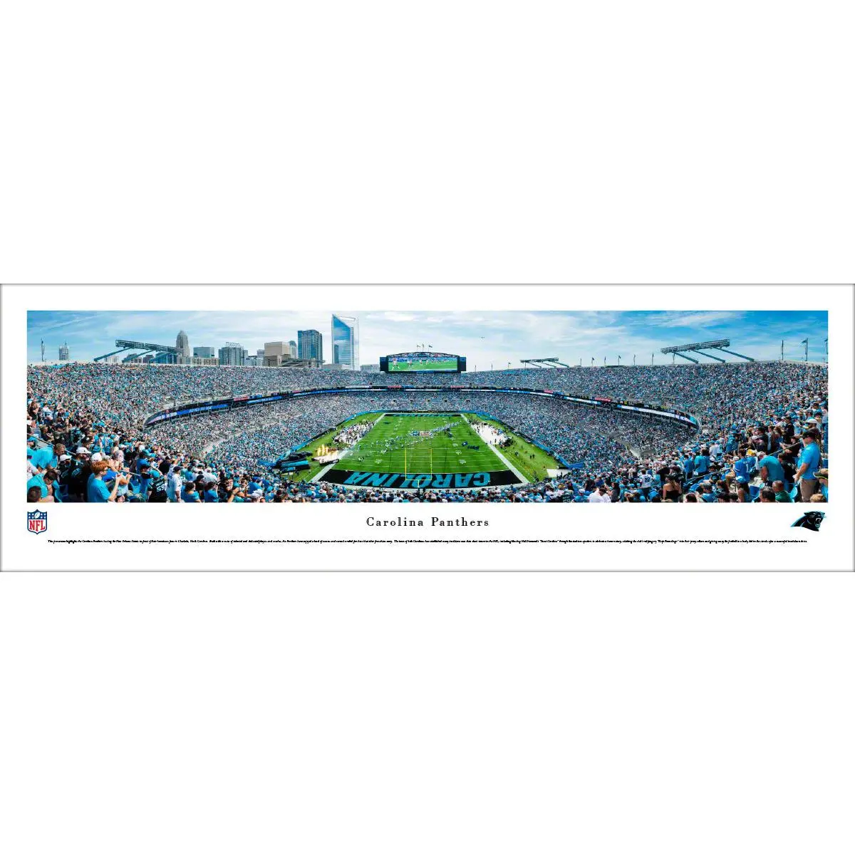 Carolina Panthers Bank of America Stadium Endzone Panoramic Picture