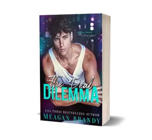 The Deal Dilemma Model Paperback