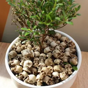 Skull Ornament, Skull Bonsai Statue, Simulated Skull, Fun Decorative Statue, DIY Decorative Statue, Exterior Decorative Statues, Cool Gift, Exquisite Skull Miniature Ornament
