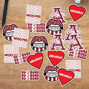 Stickers Pack 20 Pcs University Water Vinyl of Guitar Bottle Aesthetic Arkansas Laptop Car Razorbacks Bumper Waterproof Colorful Bike Skateboard Luggage