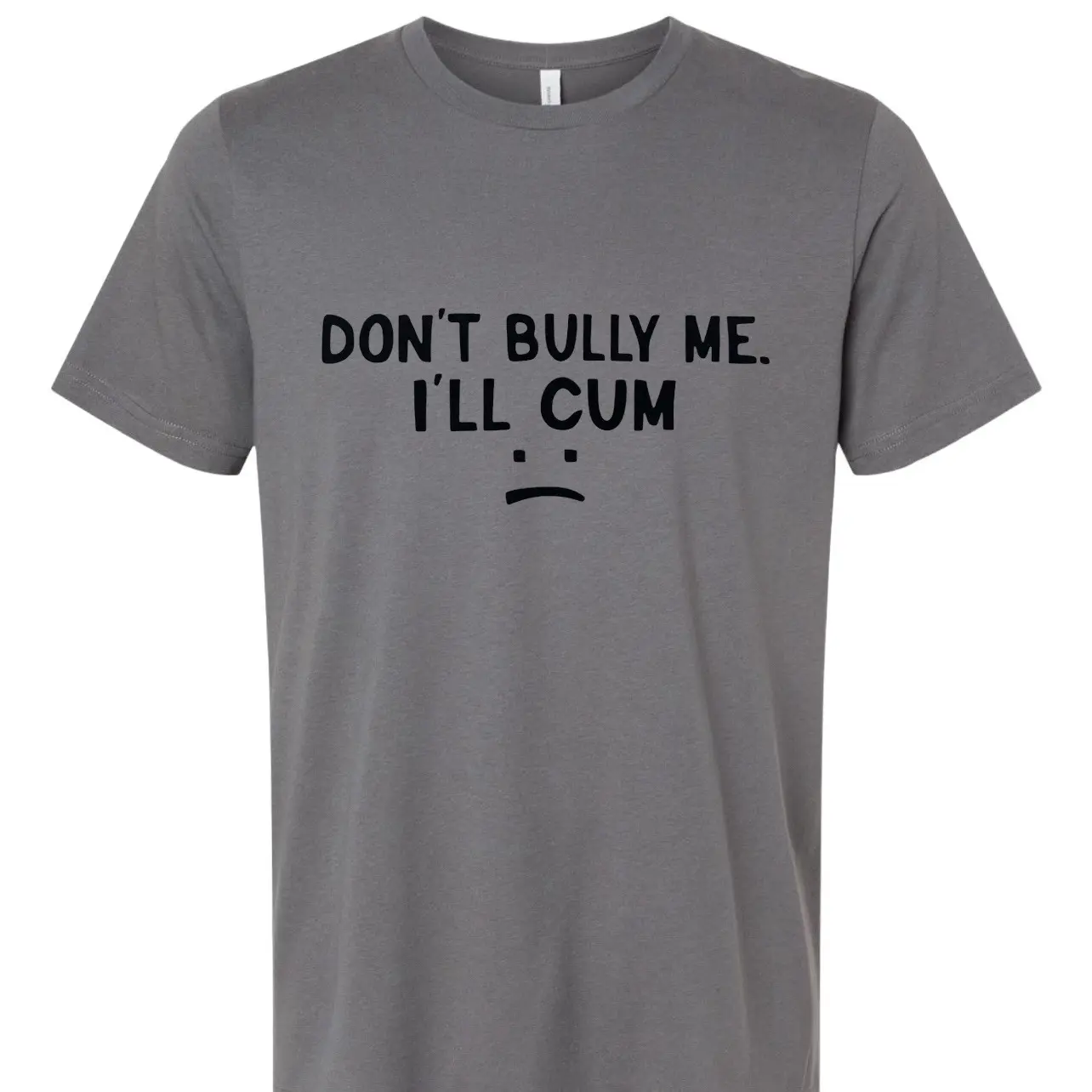 Don’t Bully Me I’ll C T shirt!
