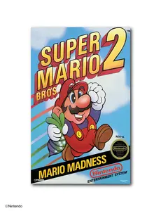 Super Mario Bros.™ 2: Game Cover Poster (11x17)