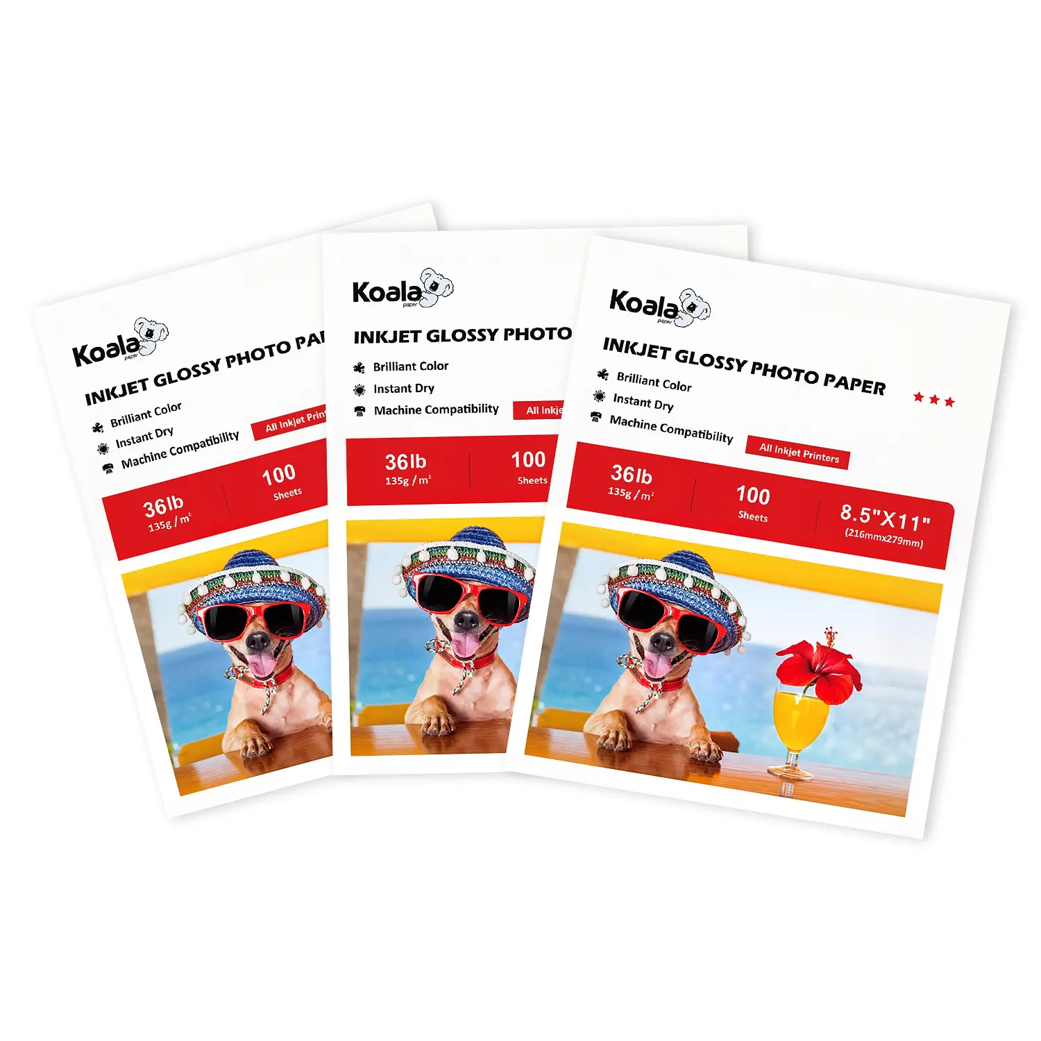 3-Pack Koala Glossy Inkjet Photopaper, 8.5x11 in, 36lb (135gsm), for Everyday Prints, DIY Projects (Computers & Office Photo Printer Compatible)