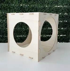 Balloon Sizer Cube