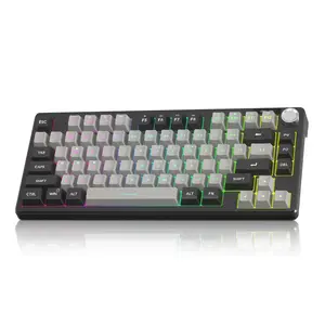 MageGee Mini 60% Gaming Keyboard, RGB Backlit 75 Key Ultra-Compact Keyboard, TS75 Ergonomic Waterproof Mechanical Feeling Office Computer Keyboards for PC, MAC, PS4, Xbox ONE Gamer summerwins