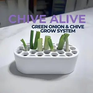 1 set of green onion regeneration set - no skills required, easy to grow green onions at home | Compact system for balconies, window sills and small spaces | Fast regeneration of green onions, suitable for urban farming