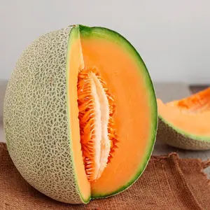 Honey Rock Cantaloupe Seeds