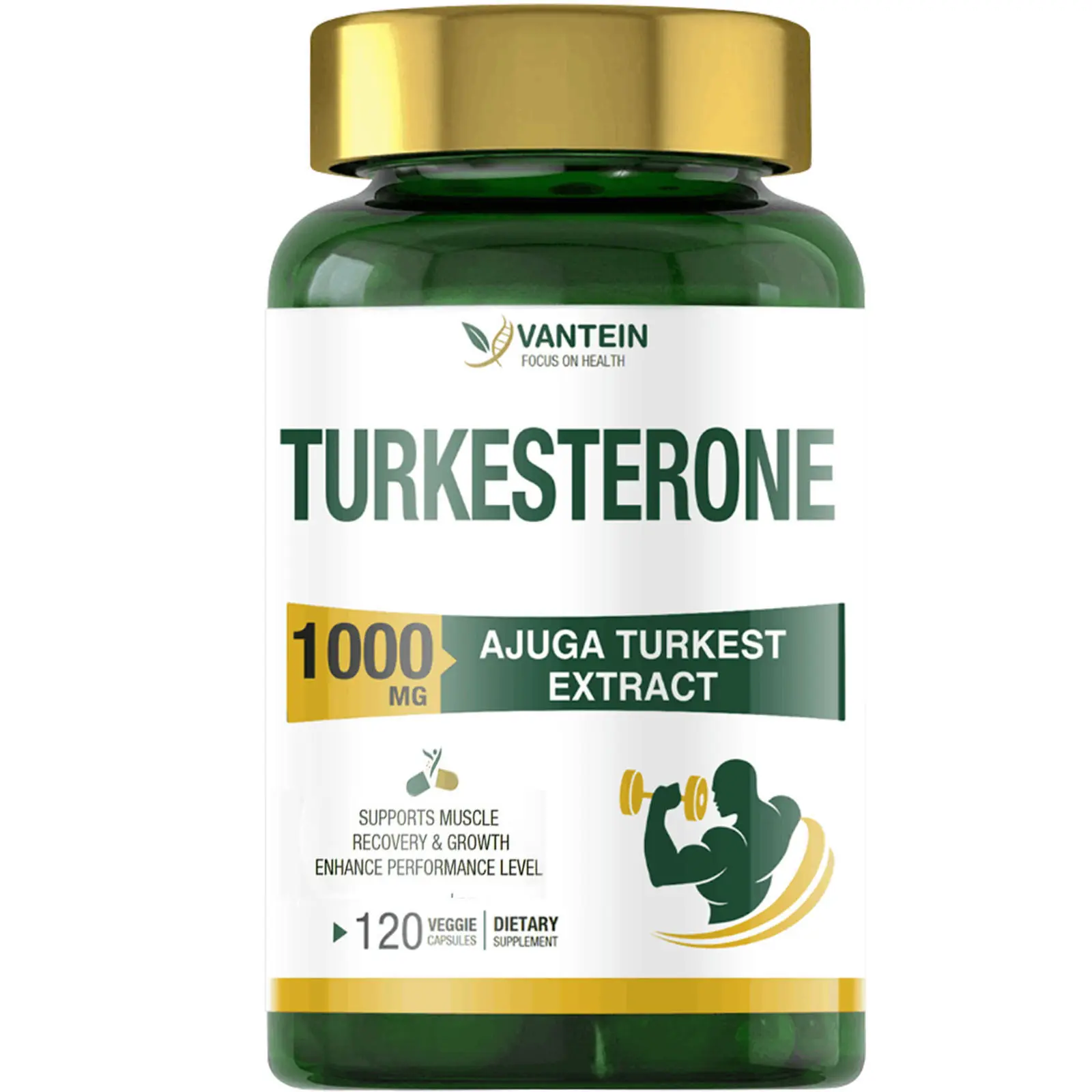 Turkesterone Dietary Supplement - 1000mg Pure Ajuga Turkestanica Extract, 120 Capsules, Fitness Support, Muscle Growth & Recovery, Gluten-Free, GMO-Free, GMP-Certified Facility Manufactured, Muscle Mass Boost for Gym Users