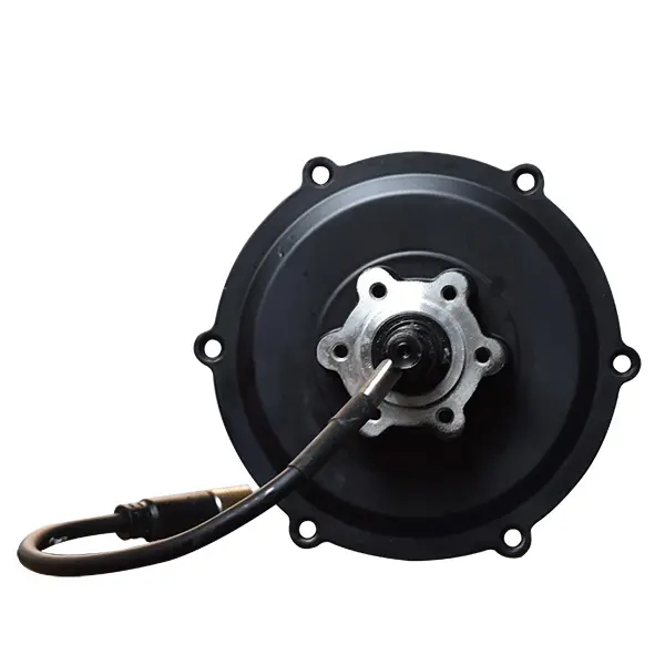 E01-Rear Motor-【Only fits E01,Please do not buy without a E01 E-bike】