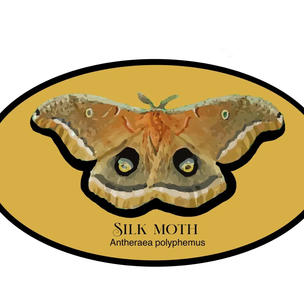 Moth StickerSet, 2 inch x 1.5 inch, set of 10, watercolor art , original art