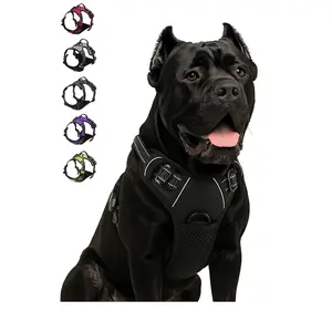 EasyFit No-Pull Harness – Comfortable Control for Active Dogs