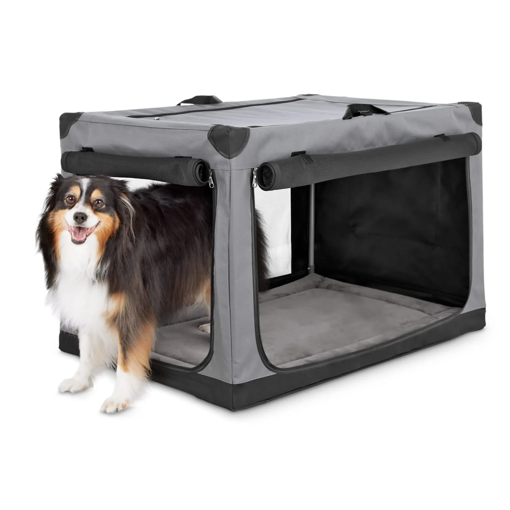EveryYay Essentials Portable Canvas Dark Grey Dog Crate