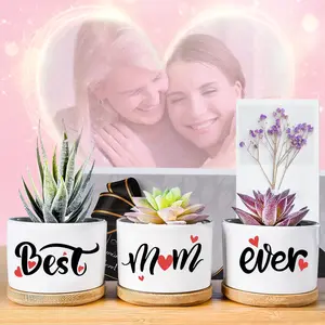 3Pcs Succulent Vase Set Housewarming Christmas Birthday Gift for Mom Mother, Vase with Drain Hole, Decorative Flower Pot for Home Office Desk, Home Decor, Ornaments
