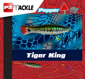 Popper 212 Rig