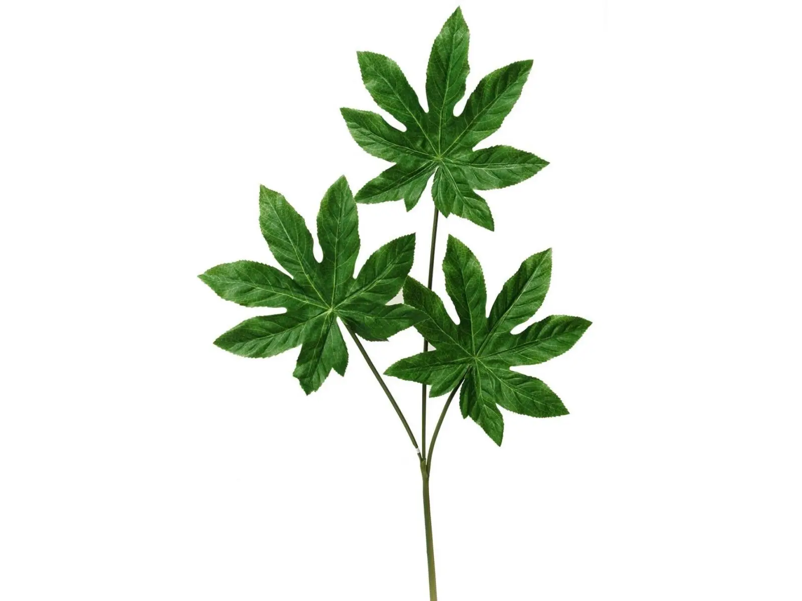 MDR Trading Inc. AI-FL2560GRNQ01 Fatsia Branch Faux Plants And Trees