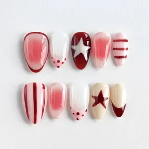10 Pcs Handcrafted Acrylic Press On Nails, Almond Shape Nails, Toi toi Nail,