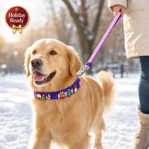 New Dual-Color Embossed Pet Leash Set, Fashionable Practical Dog & Cat Walking Lead with Exquisite Craftsmanship for Comfortable User Experience para perros collar