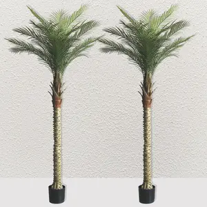 Set of 2, 91-inch artificial coconut trees. Easy to assemble and versatile for indoor & outdoor use. Ideal for commercial space display and home decor, also a premium housewarming gift option. outdoorfun