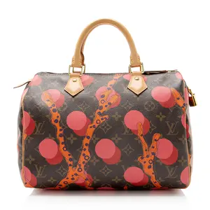 Pre-owned Louis Vuitton Leather Shoulder Bags Limited Edition Monogram Canvas Ramages Speedy 30 Satchel