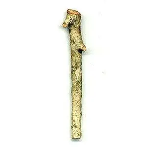 Palo Guayacan 5" - 6" Aprox.