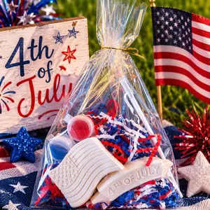 4th of July plaster painting kit