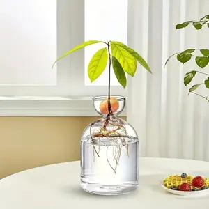 Glass Avocado Tree Growth Kit Planter/Vase - Transparent Elongated Oval Seed Starter for Avocado Plant Cultivation, Indoor/Outdoor Decorative Glass Vase for & Avocado Tree Growth Display Decoration, Decorative Flower Vase