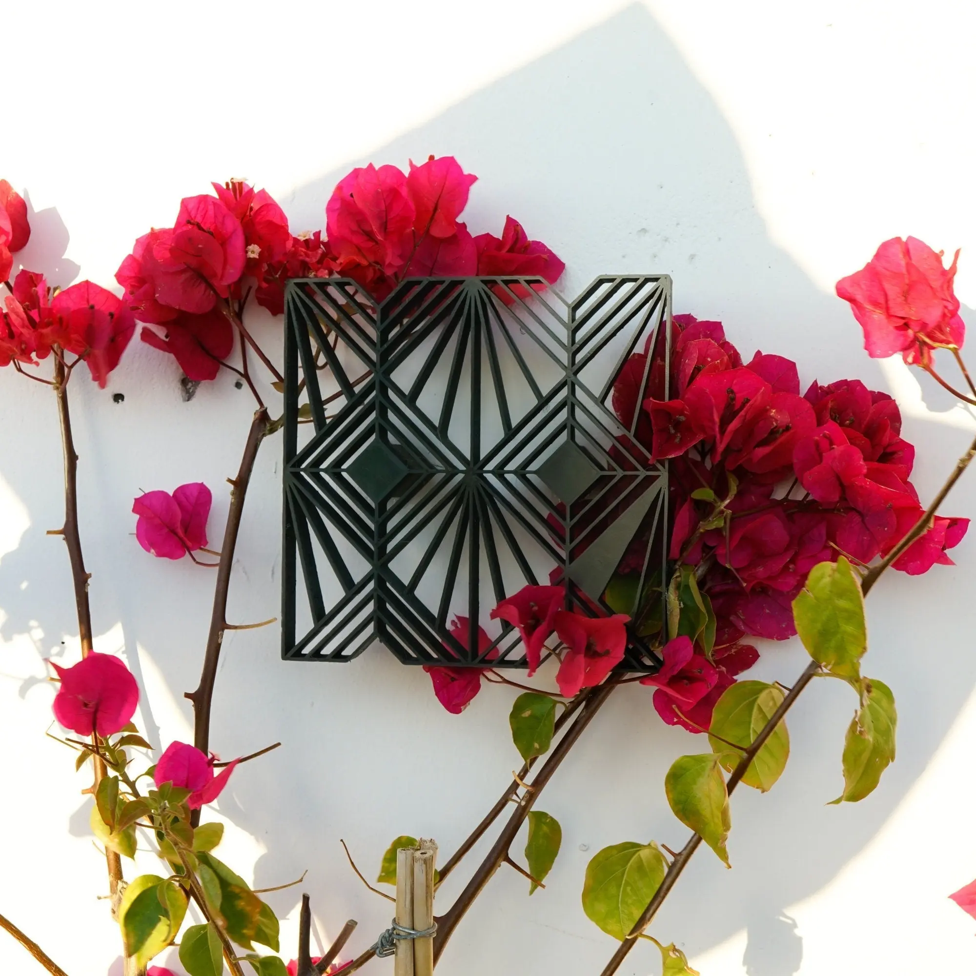 Sun Wall Trellis for Outdoor Garden, Plant Wall Support
