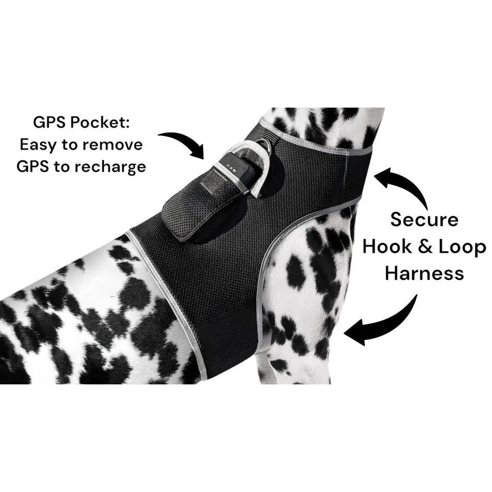 Enhanced GSM GPS Mini Pet Locator