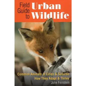 USED-Field Guide to Urban Wildlife (Paperback)