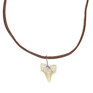 Flat Strand Shark - Fossil Shark Tooth Necklace