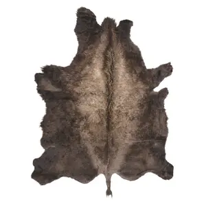 American Bison Hide Rug - First Grade Large | 7.5'x6'