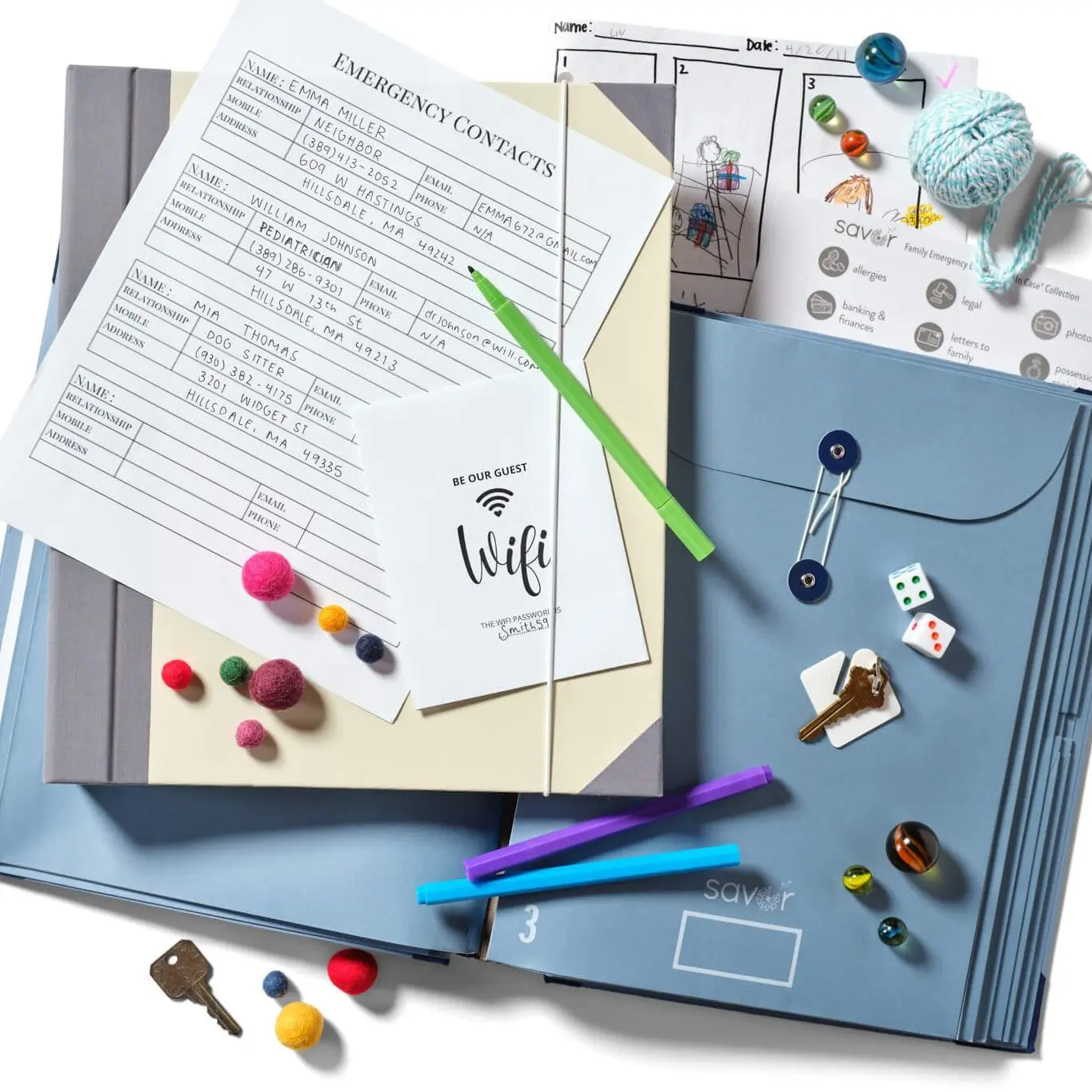 Babysitter Binder | Perfect binder for important info, allergies, medicine, emergency numbers