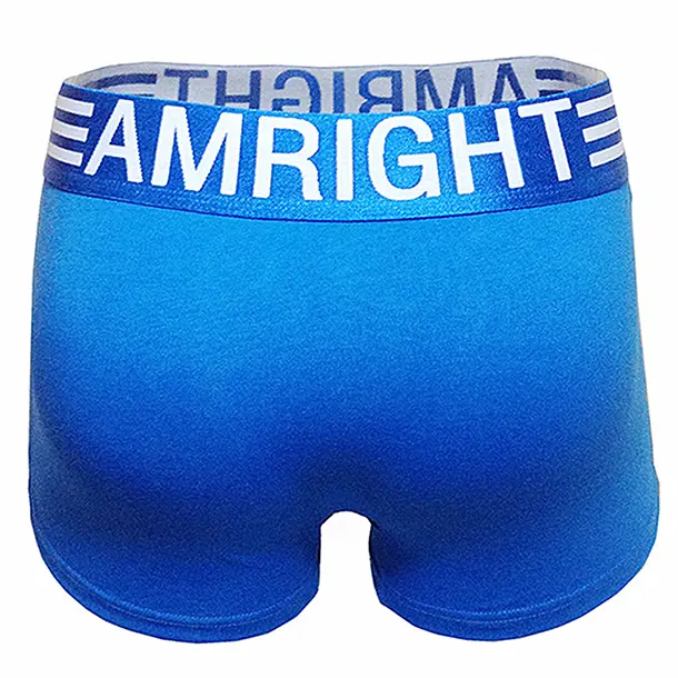Stock Clearance Sale Menswear Fashion Apparel, Breathable Soft Plain Fabric Men's Casual Underwear Briefs, Quick-Dry Comfortable Boxers, Breathable Soft Underwear, Quilted, Quick Drying, Belt Detail, Cotton Blend, Fantasy Sheer Men's Boxer Briefs, Dry Qui