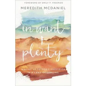 USED-In Want + Plenty: Waking Up to God's Provision in a Land of Longing by McDaniel, Meredith (Paperback)