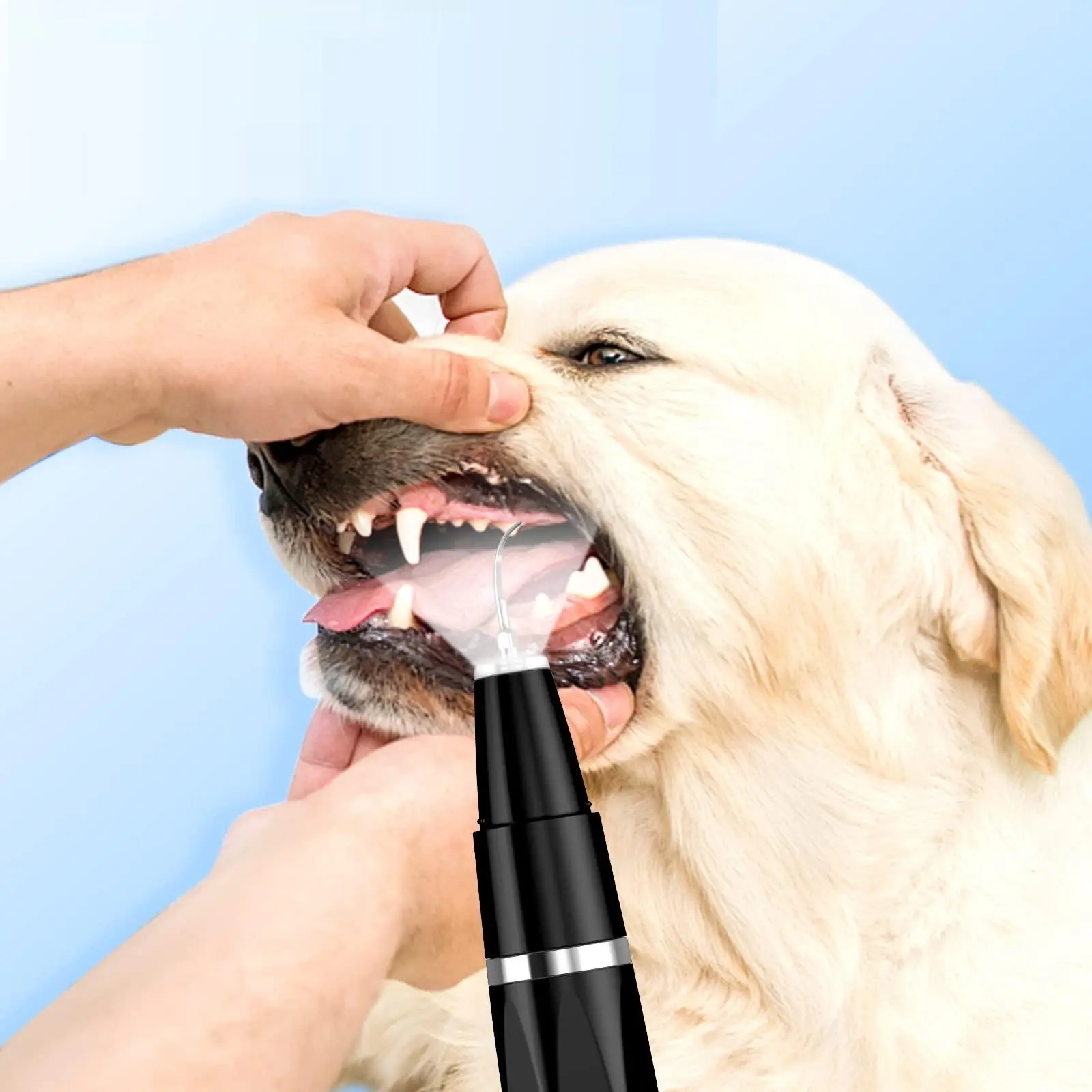 Portable Pet Teeth Cleaning Kit, 1 Box Waterproof Pet Teeth Cleaning Tool, Ultrasonic Tooth Cleaner & Accessories, Pet Oral Care Supplies