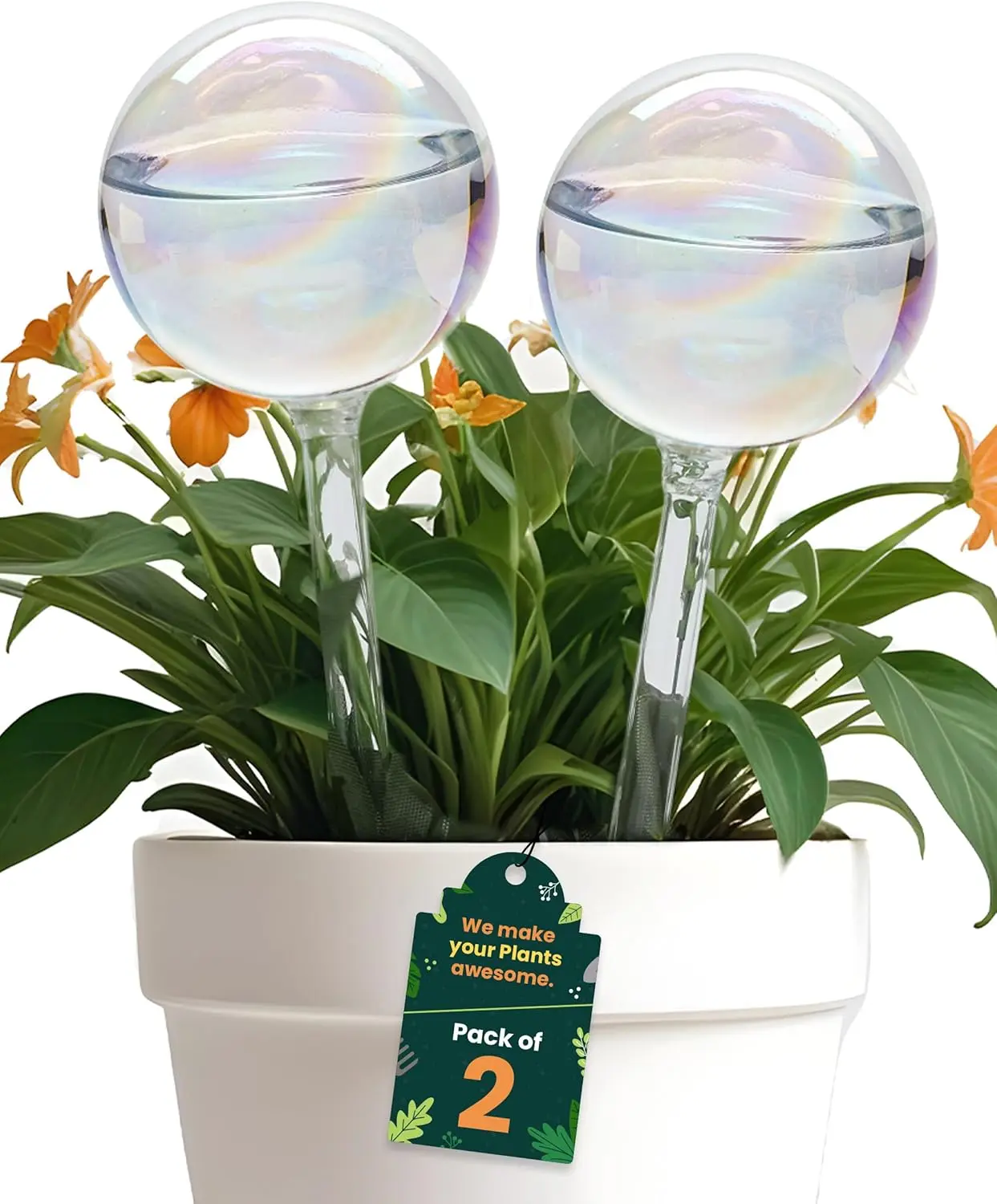 2 Pcs  Iridescent Self Watering Globes, Glass Rainbow Plant Watering Globes, Self Watering Planter Insert, Automatic Plant Waterer Indoor (Medium-2 Pcs Iridescent, Medium)