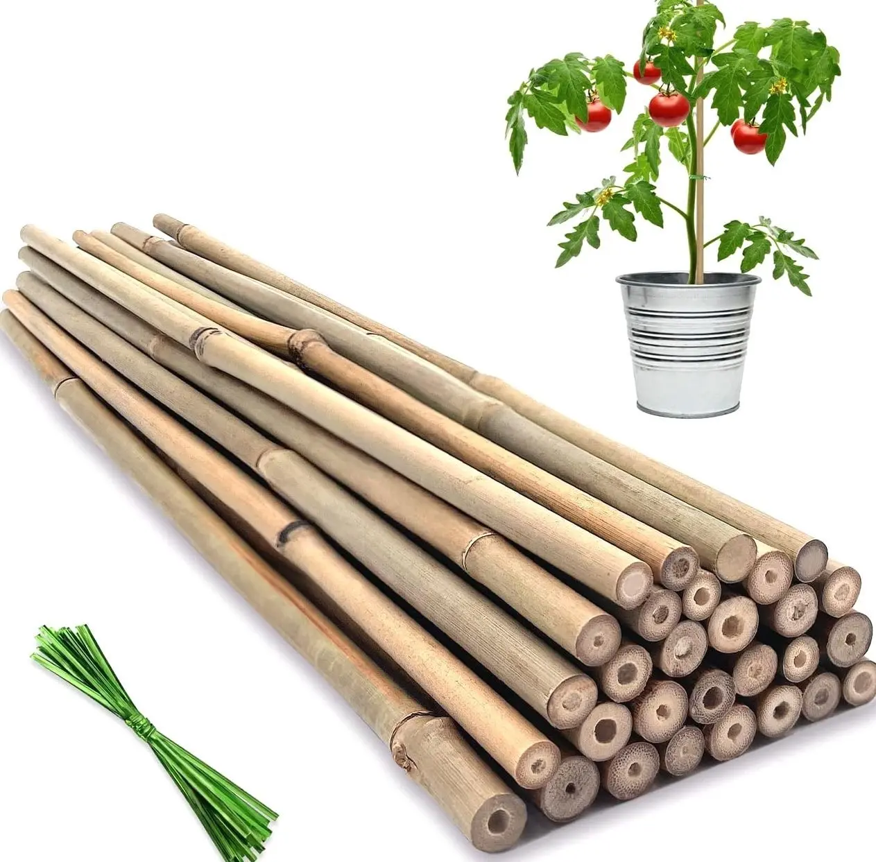 Plant Stakes, Natural Garden Bamboo Sticks,  Plant Support Stakes |  with 20Pcs Green Ties, Bamboo Sticks for Plants,Garden Stakes for Plants,Tomatoes, Beans, Vegetable and Potted Plants