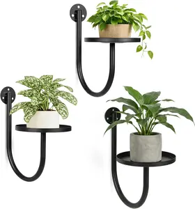Wall Plant Holders for Indoor Plants, 3 Pack Metal Wall Mounted Plant Shelves，Modern Window Plant Hanger, Space Saving Hanging Planters for Living Room Bedroom Kitchen Bathroom Office Decor, Black
