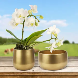 1pc Golden Vase Metal Flower Pot  Modern Decorative Storage Organizer with Drainage Hole, Durable Construction, and Versatile Design - Perfect for Indoor Outdoor Living Room Balcony Decoration, Wedding Gifts, and Floor Display Round Planter Garden Pot