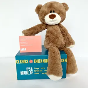 Hug in a Box Care Package | Long Distance, College, Grief, Thinking of You