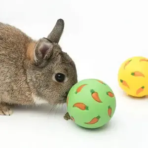 1 Pc Rabbit Treat Ball