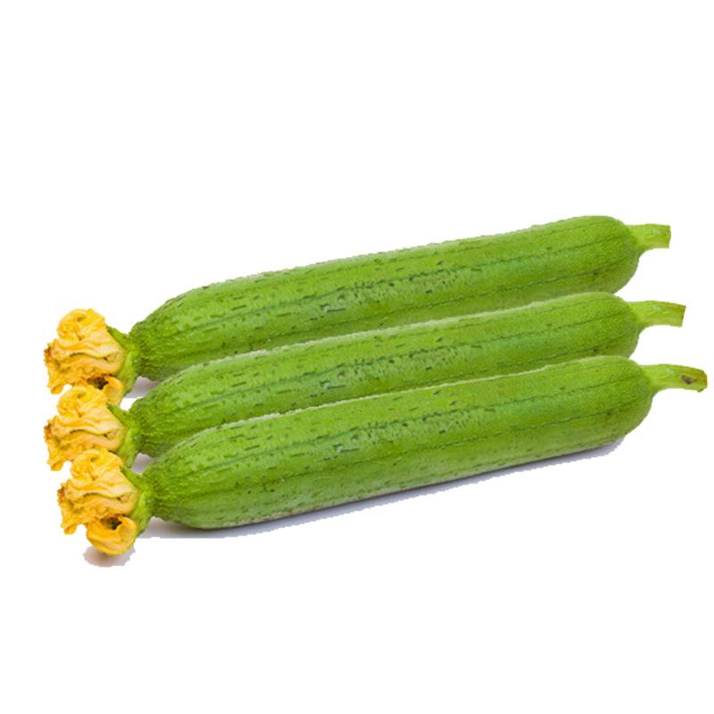 Smooth loofah seeds - 30 seeds - 2025 Plant smooth medium wide sponge open pollinated cucumber loofah Bitter Gourd Asia Grow your own family farm yard