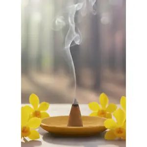 Nag Champa Incense Cones